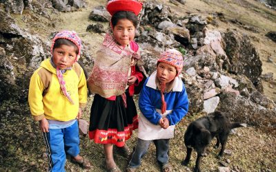 The Government of Peru: Poverty and Social Safety