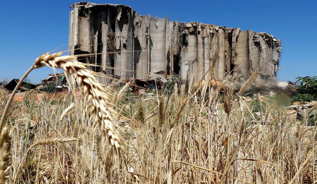 Lebanon – Negative Wheat Supply Shock