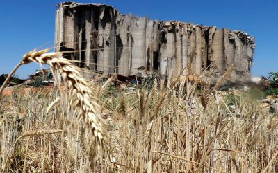 Lebanon – Negative Wheat Supply Shock