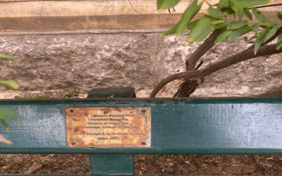 Whispers of Memory: The Benches of AUB